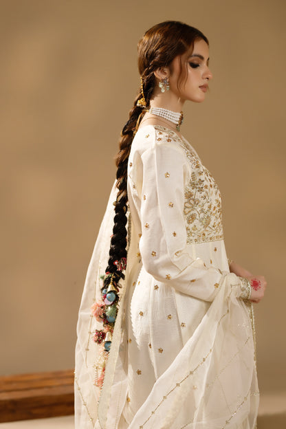 Jabeen- Heavy full flair Frock