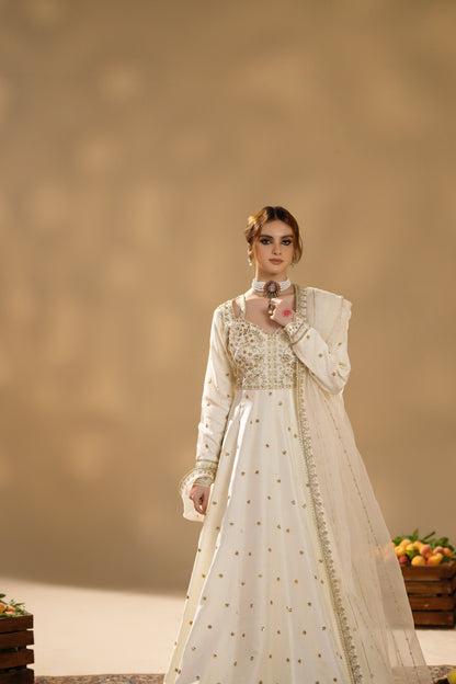 Jabeen- Heavy full flair Frock
