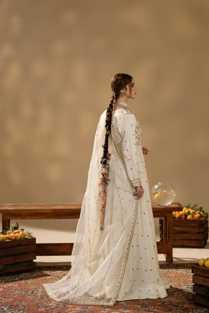 Jabeen- Heavy full flair Frock