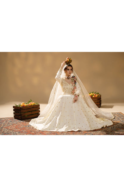Jabeen- Heavy full flair Frock