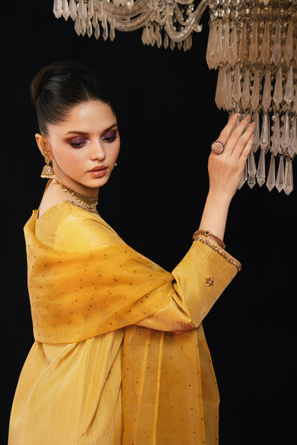 Tabeer  | Premium adda hand-done work