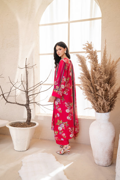 Hayat | Printed with Hand-embellished work