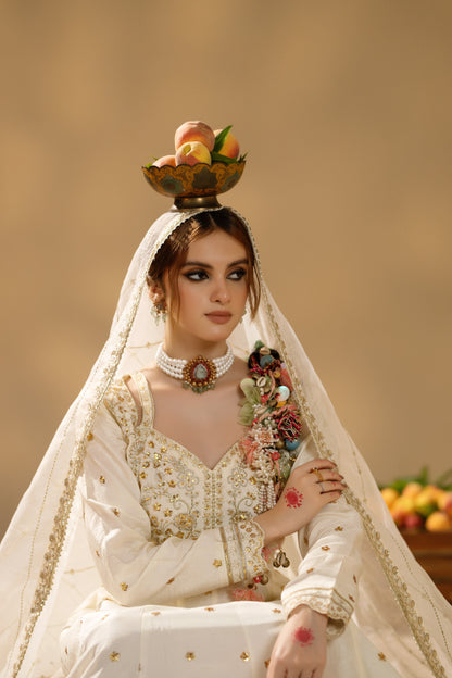 Jabeen- Heavy full flair Frock